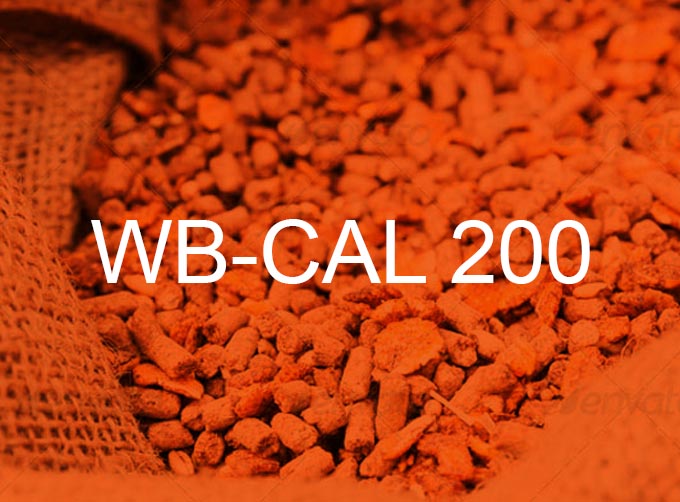 wb-cal-200-produsen-batu-kapur-dolomite-calcium-indonesia